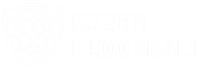 Czech Floorball