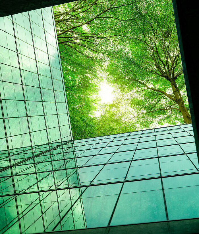 A green forest is reflected in the windows of an eco-friendly office building symbolizing sustainable digitalization solutions from T Business.