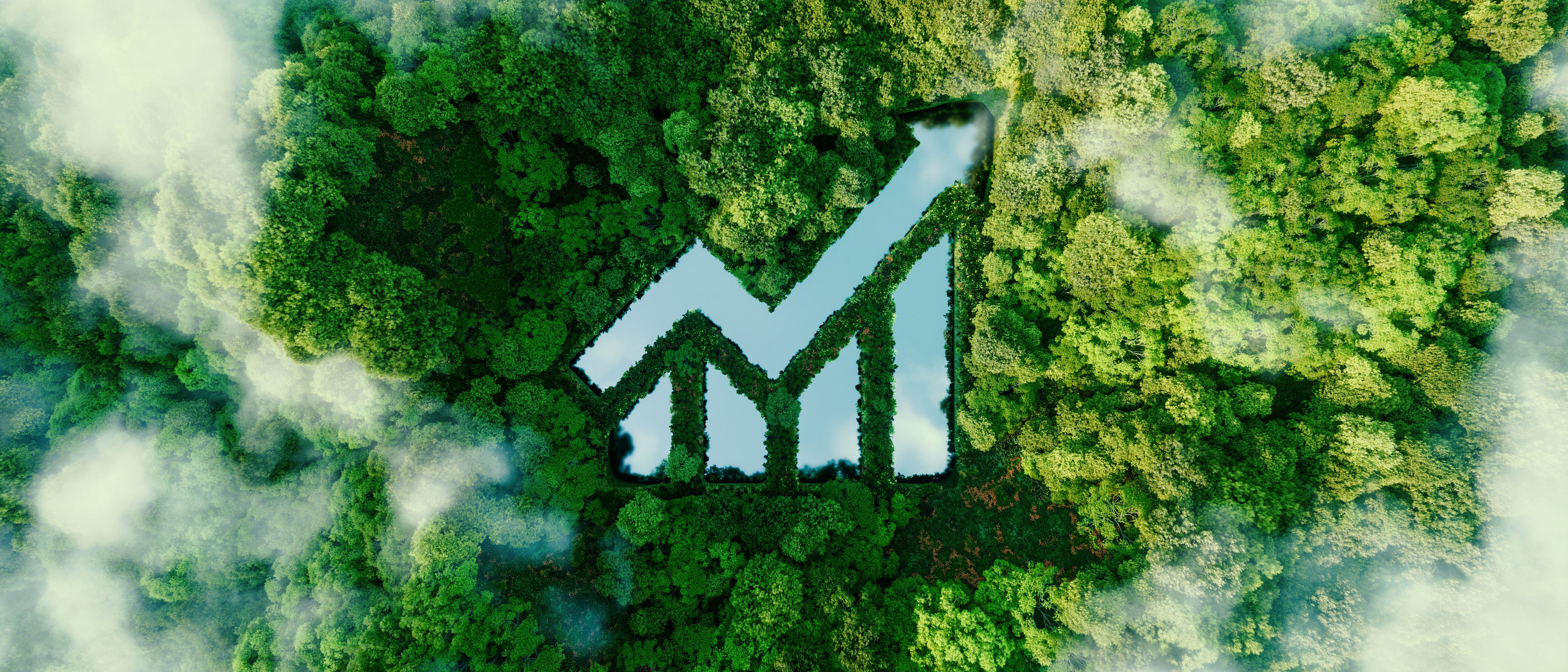 Digitalization Digitization made simple, fast and secure for all types of businesses, governments, and the public sector.