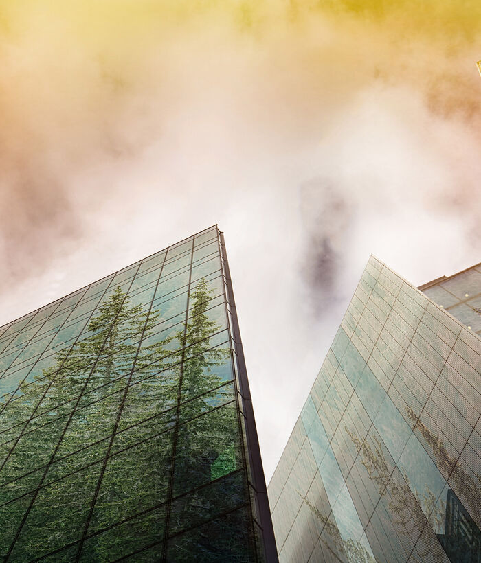 An urban ecology concept of a sustainable and green city realizable with the digital transformation of the government