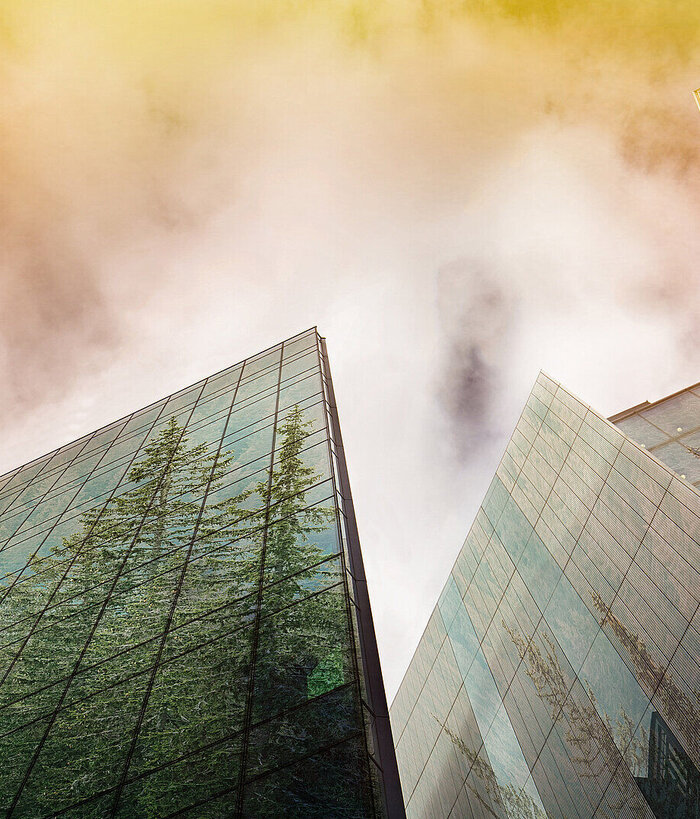 An urban ecology concept of a sustainable and green city realizable with the digital transformation of the government
