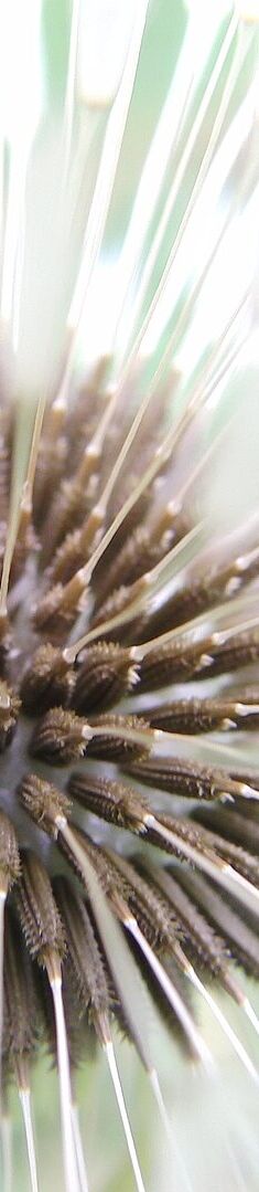 titel von macro1 alt von macro1