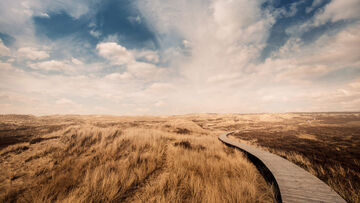 Cloud migration A path that ends on the horizon in a cloudy sky symbolizing cloud migration by T Business.