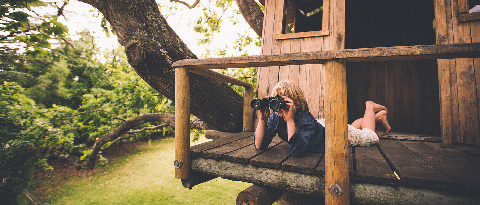 IT Telco Service Provider Boy in tree house looks out for an IT Telco Service Provider